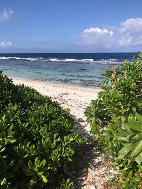 Moorea Temae Villa Walking Dist Beach And Golf エクステリア 写真